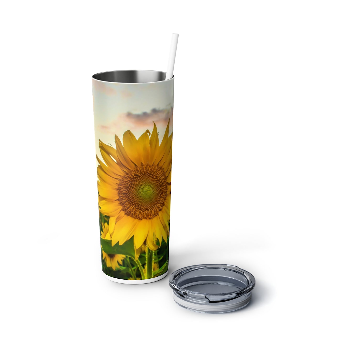 Skinny Steel Tumbler with Straw, 20oz