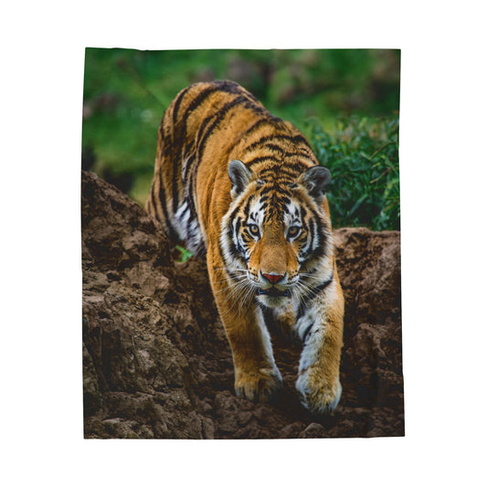 Velveteen Plush Blanket