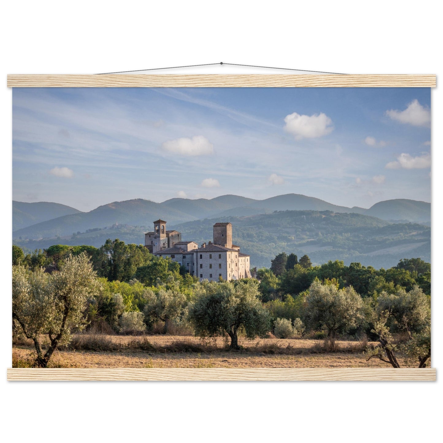 Premium Matte Paper Poster with Hanger