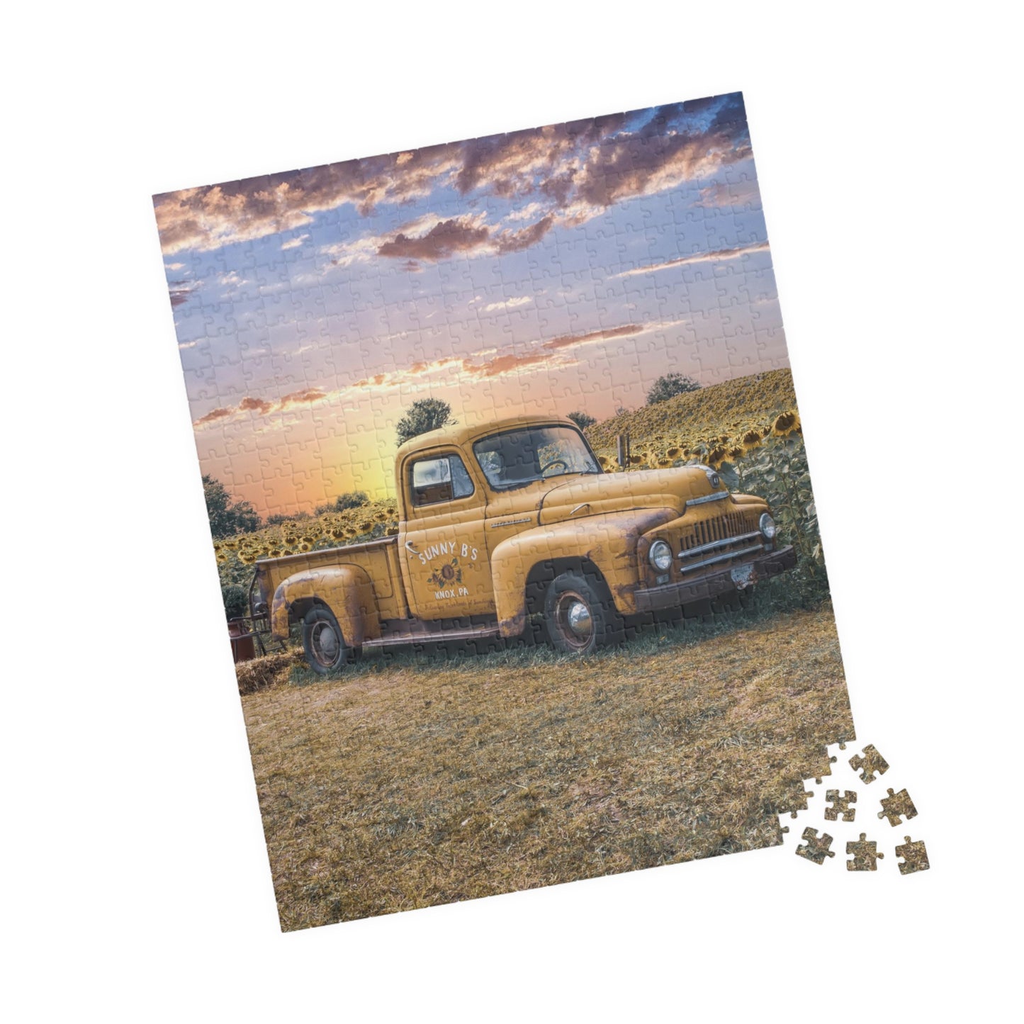Puzzle ( 520, 1014-piece)