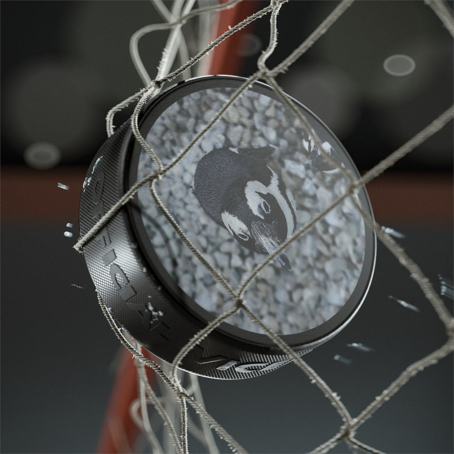 Hockey Puck