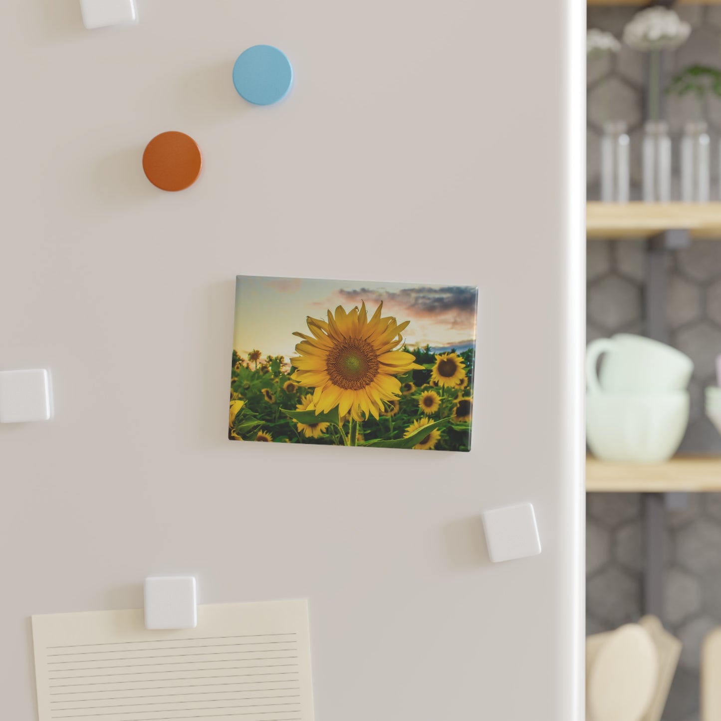 Button Magnet, Rectangle (1 & 10 pcs)