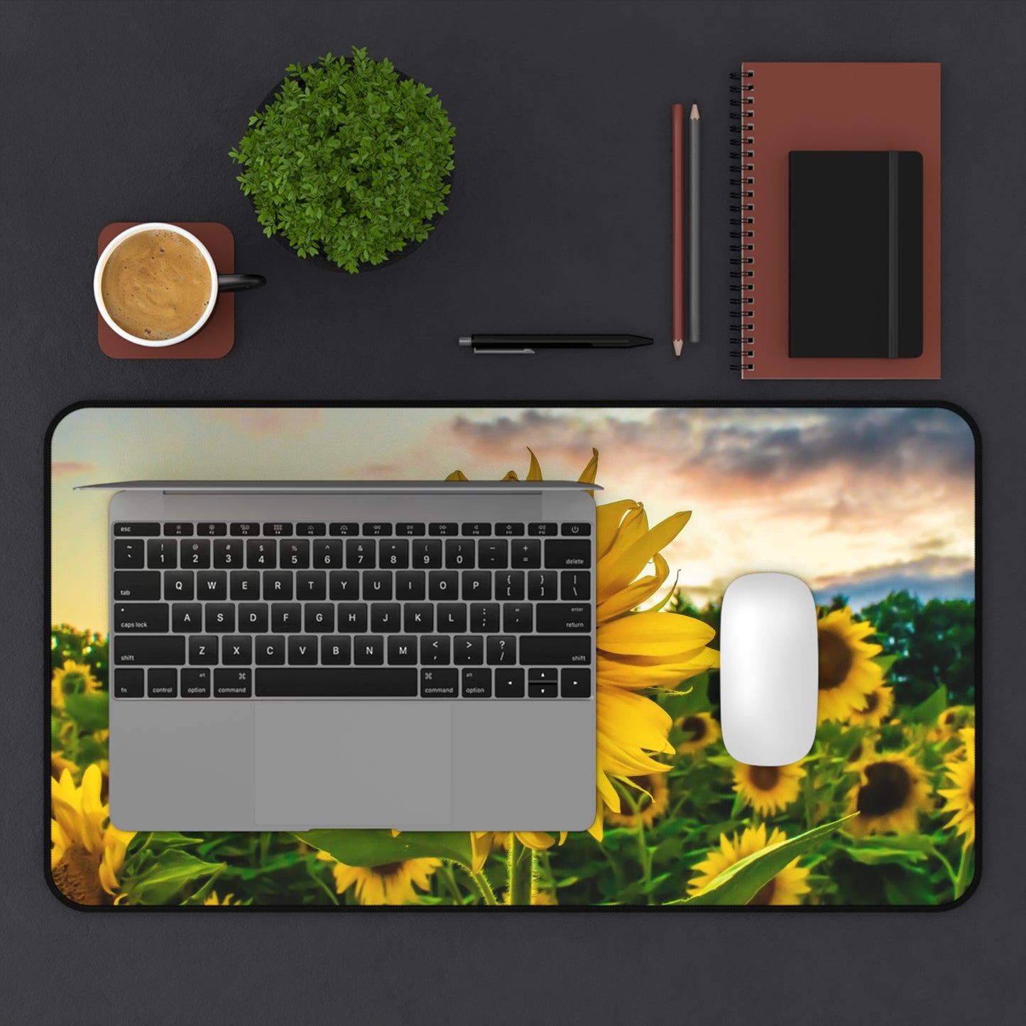 Desk Mat