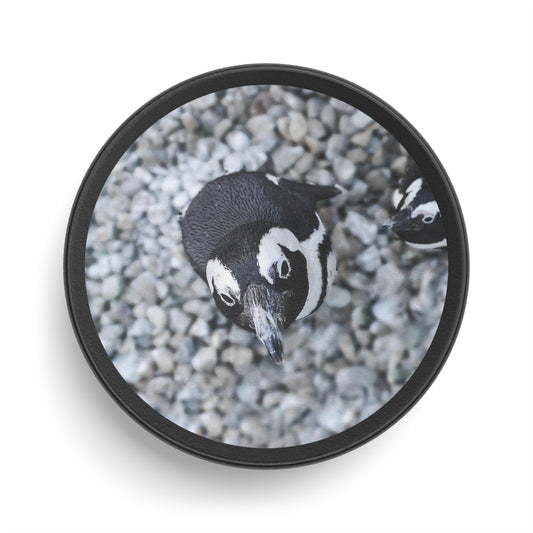 Hockey Puck