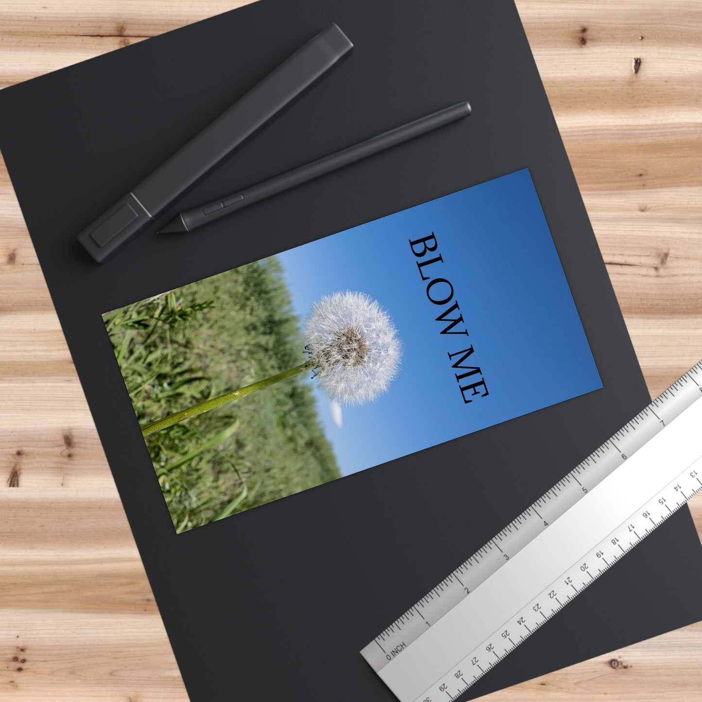 Bumper Sticker — “Blow Me” Dandelion Photo Sticker (Funny Nature Car Decal)