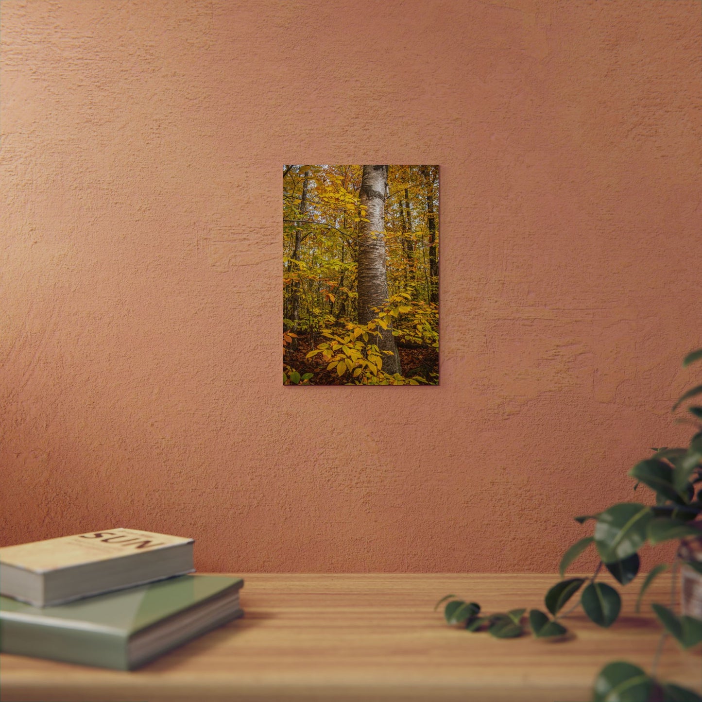 Autumn Nature Wall Art, Metal Print of Birch Tree, Rustic Home Decor, Fall Decoration, Woodland Photography, Nature Lover Gift