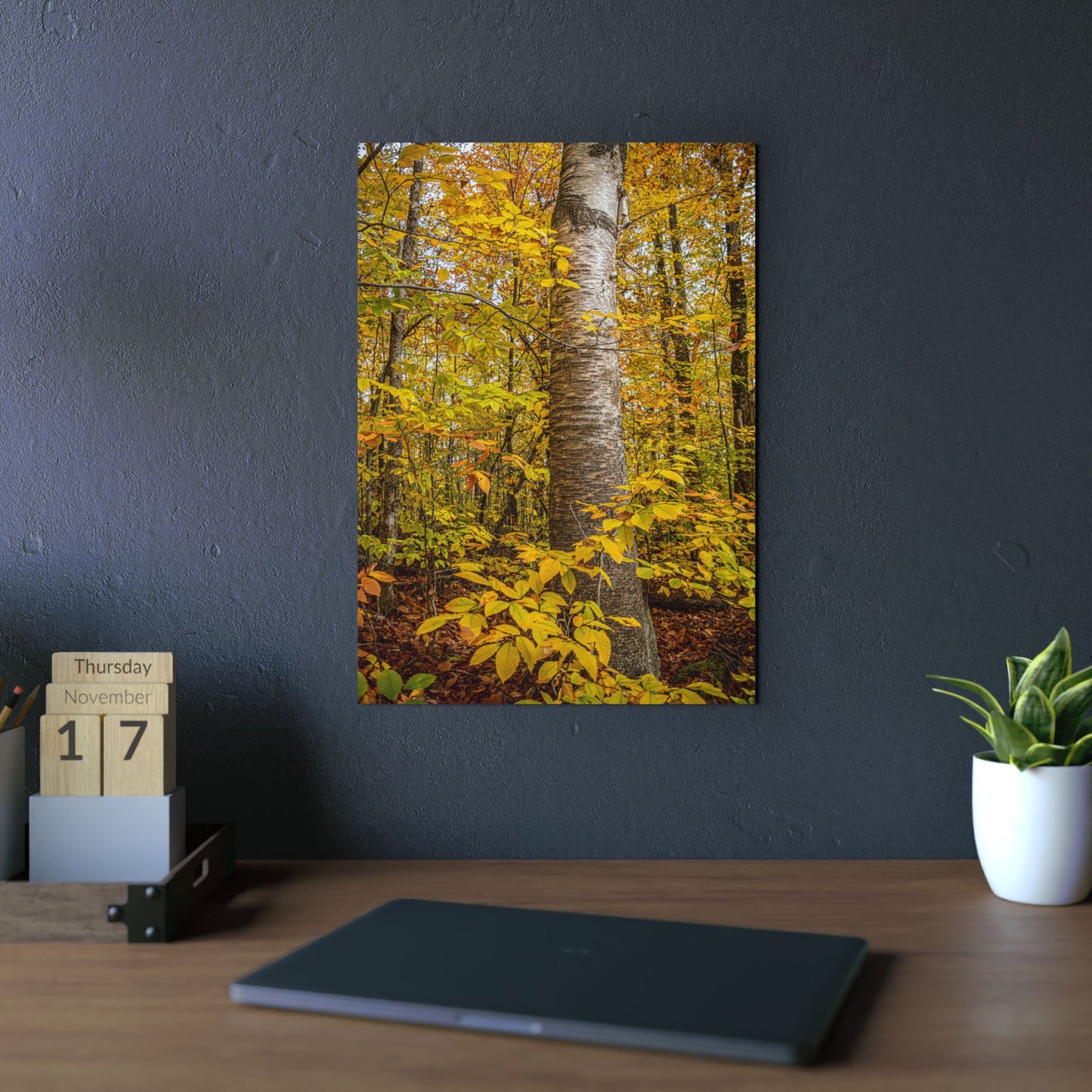Autumn Nature Wall Art, Metal Print of Birch Tree, Rustic Home Decor, Fall Decoration, Woodland Photography, Nature Lover Gift