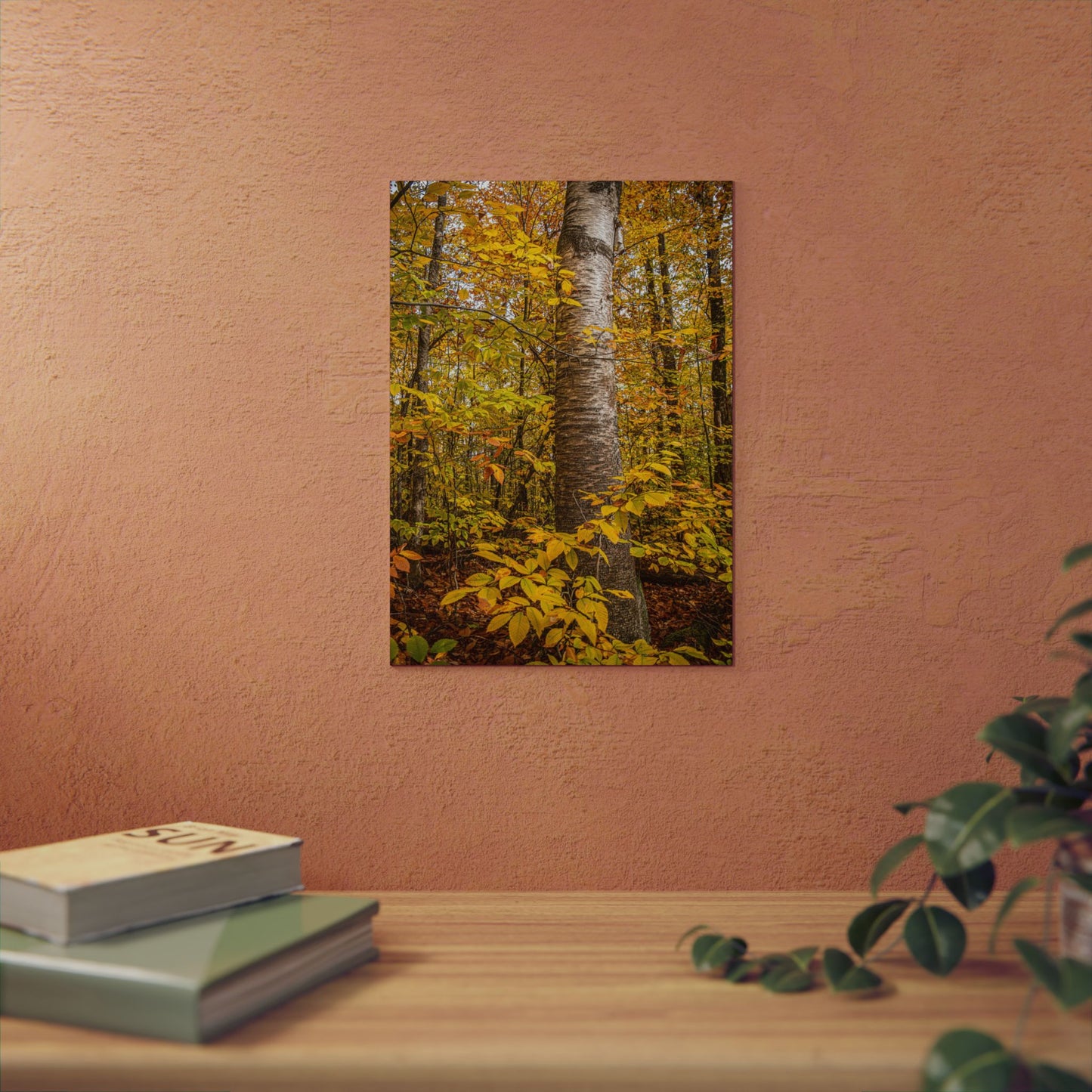 Autumn Nature Wall Art, Metal Print of Birch Tree, Rustic Home Decor, Fall Decoration, Woodland Photography, Nature Lover Gift