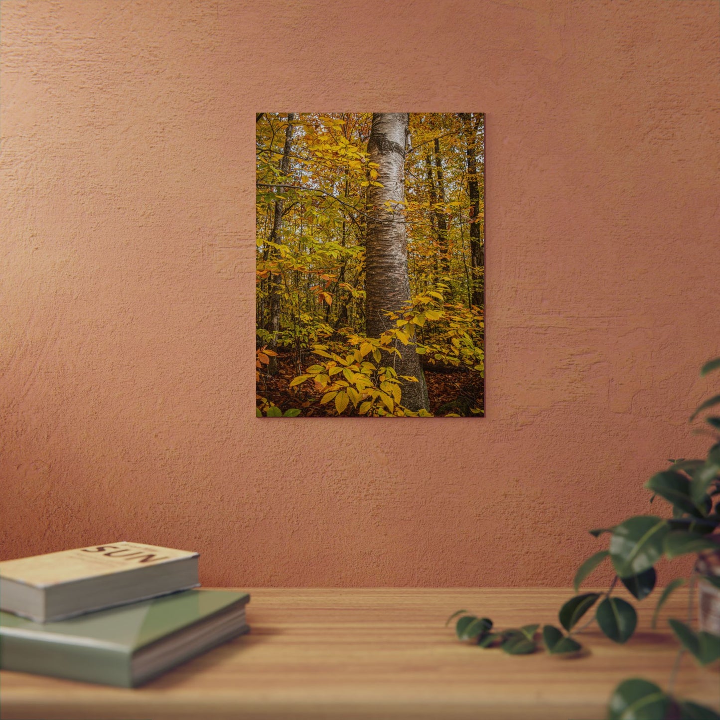 Autumn Nature Wall Art, Metal Print of Birch Tree, Rustic Home Decor, Fall Decoration, Woodland Photography, Nature Lover Gift
