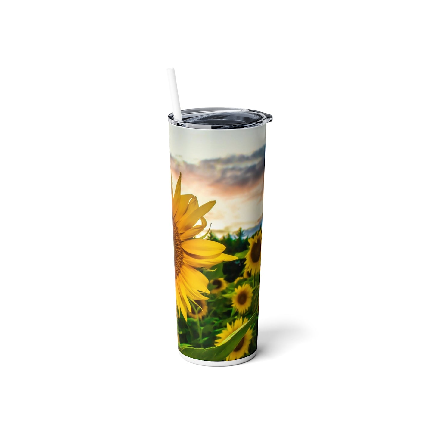 Skinny Steel Tumbler with Straw, 20oz