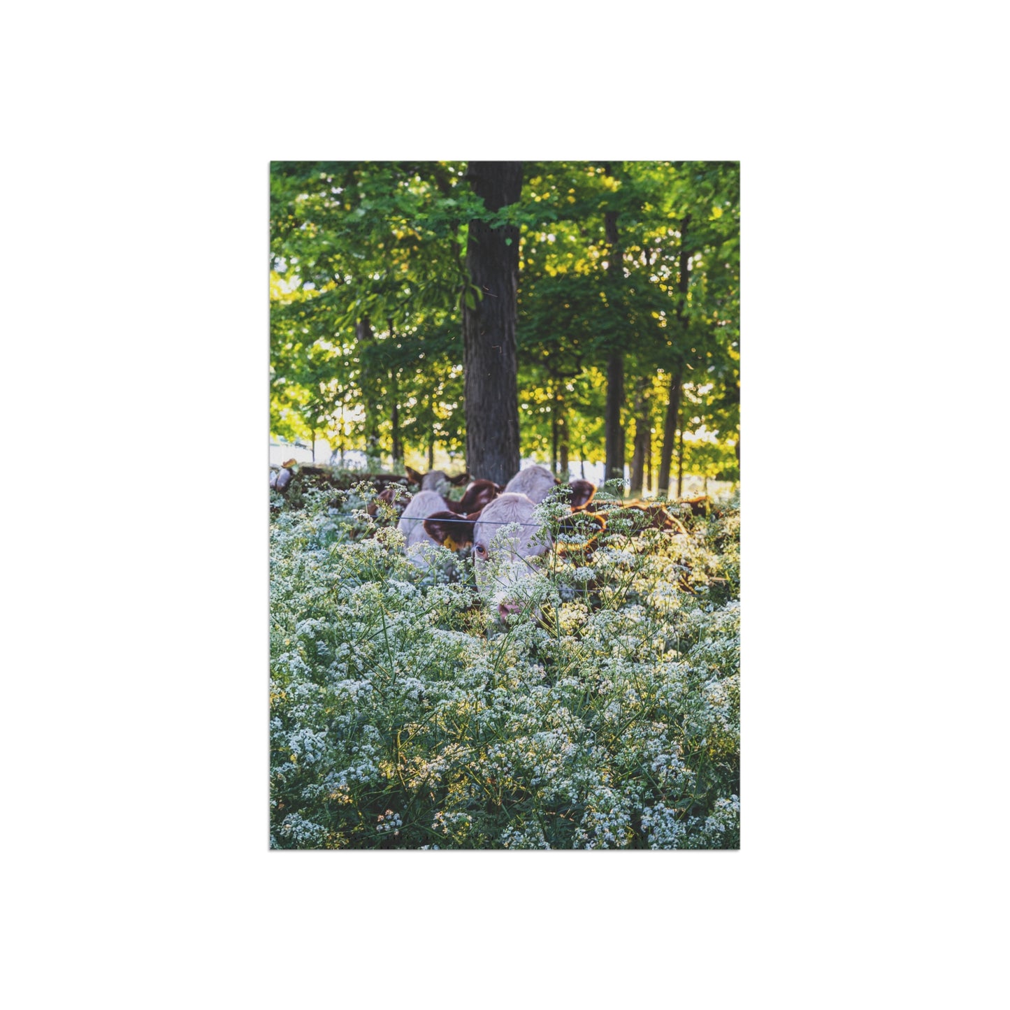 Garden & House Banner