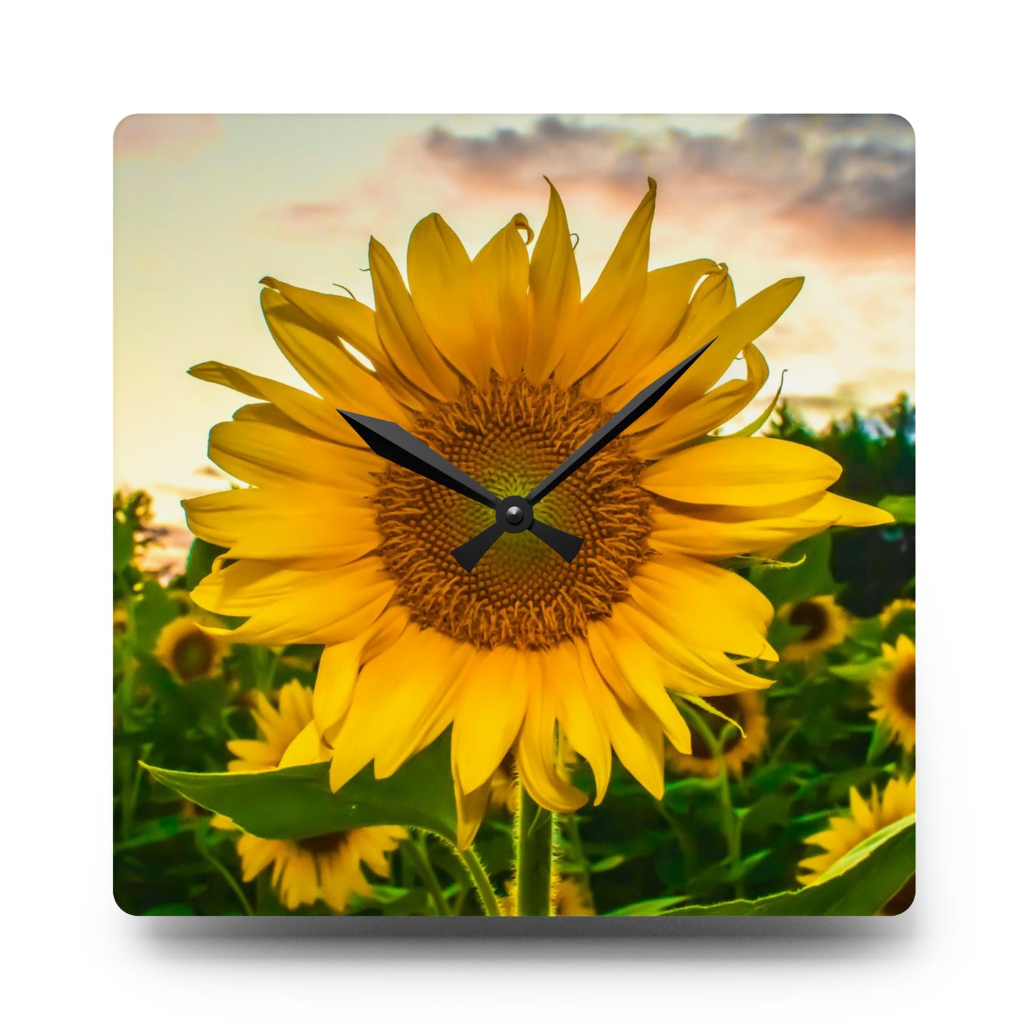 Sunflower Acrylic Wall Clock