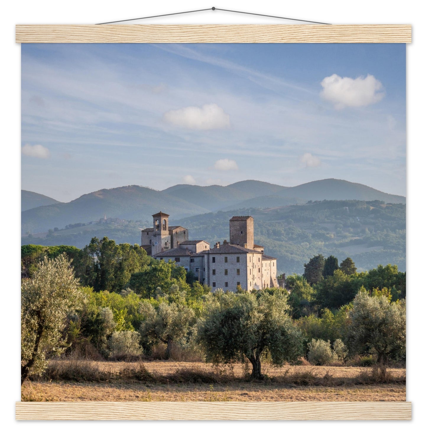 Premium Matte Paper Poster with Hanger