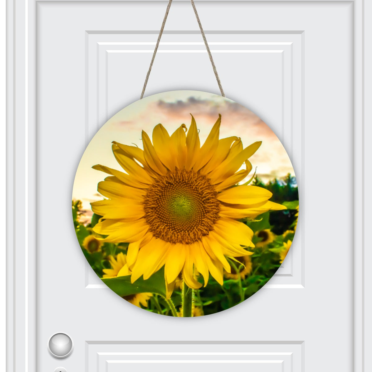 Round House Number Door Hanger