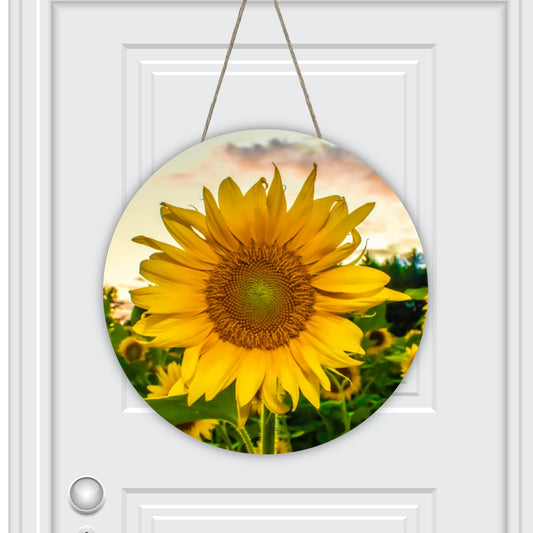 Round House Number Door Hanger