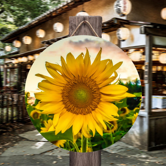 Round House Number Door Hanger