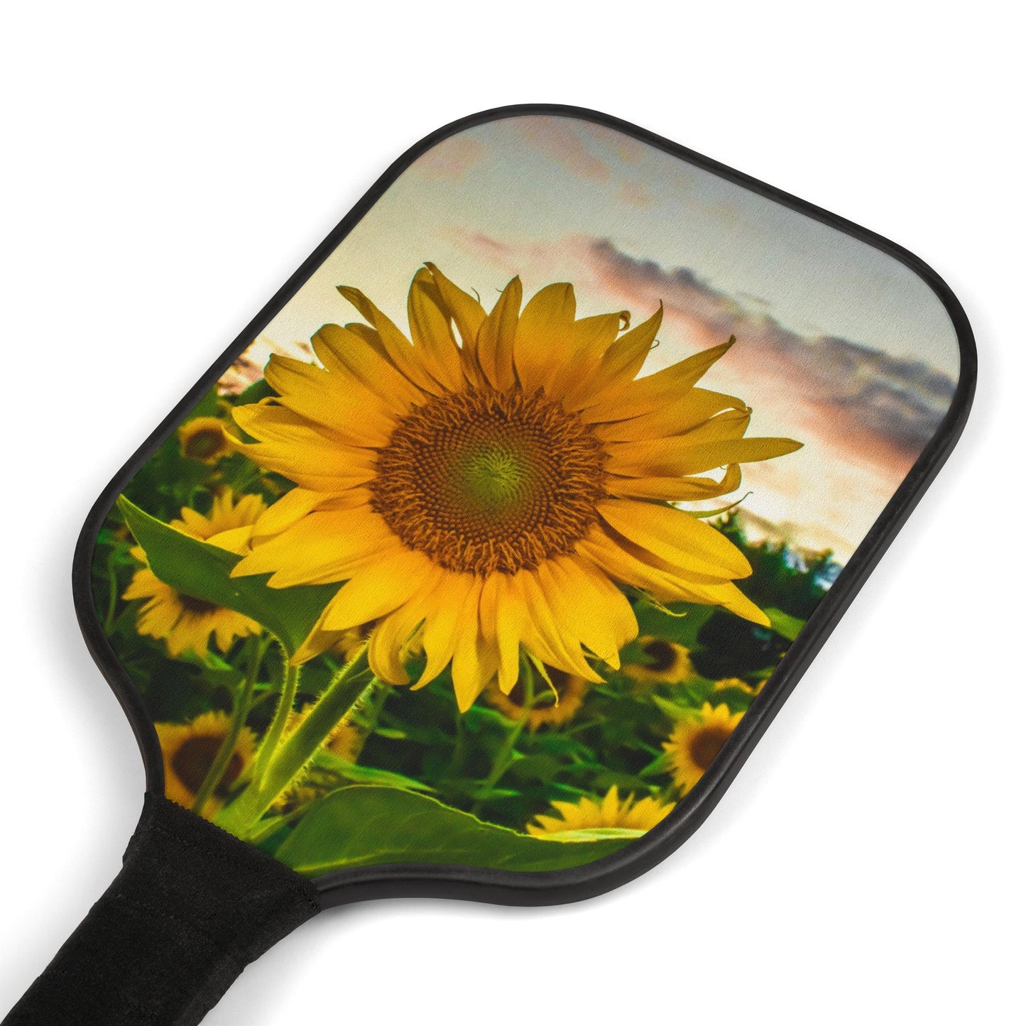 Pickleball Kit