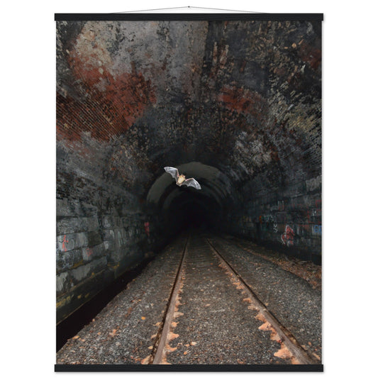Classic Semi-Glossy Paper Poster with Hanger