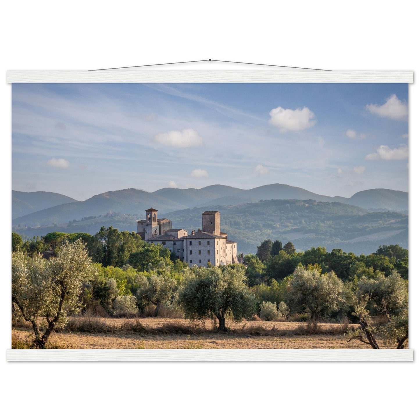 Premium Matte Paper Poster with Hanger