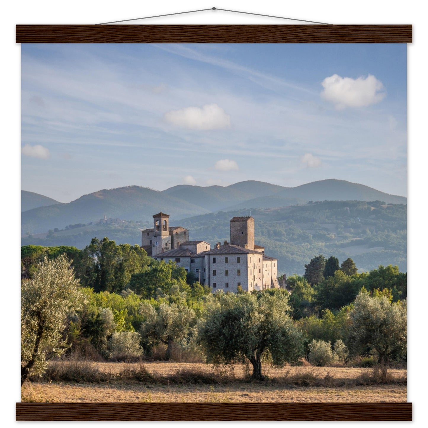 Premium Matte Paper Poster with Hanger