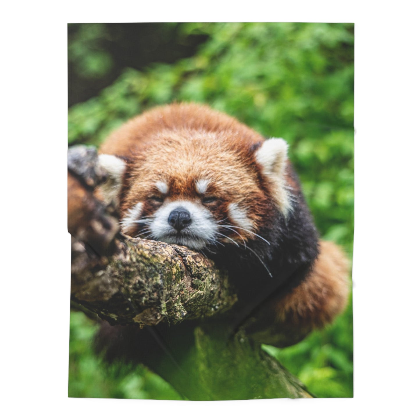 Baby Swaddle Blanket