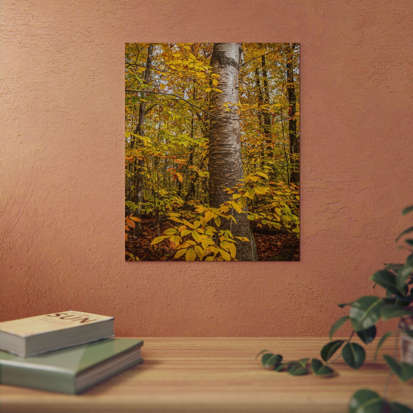 Autumn Nature Wall Art, Metal Print of Birch Tree, Rustic Home Decor, Fall Decoration, Woodland Photography, Nature Lover Gift