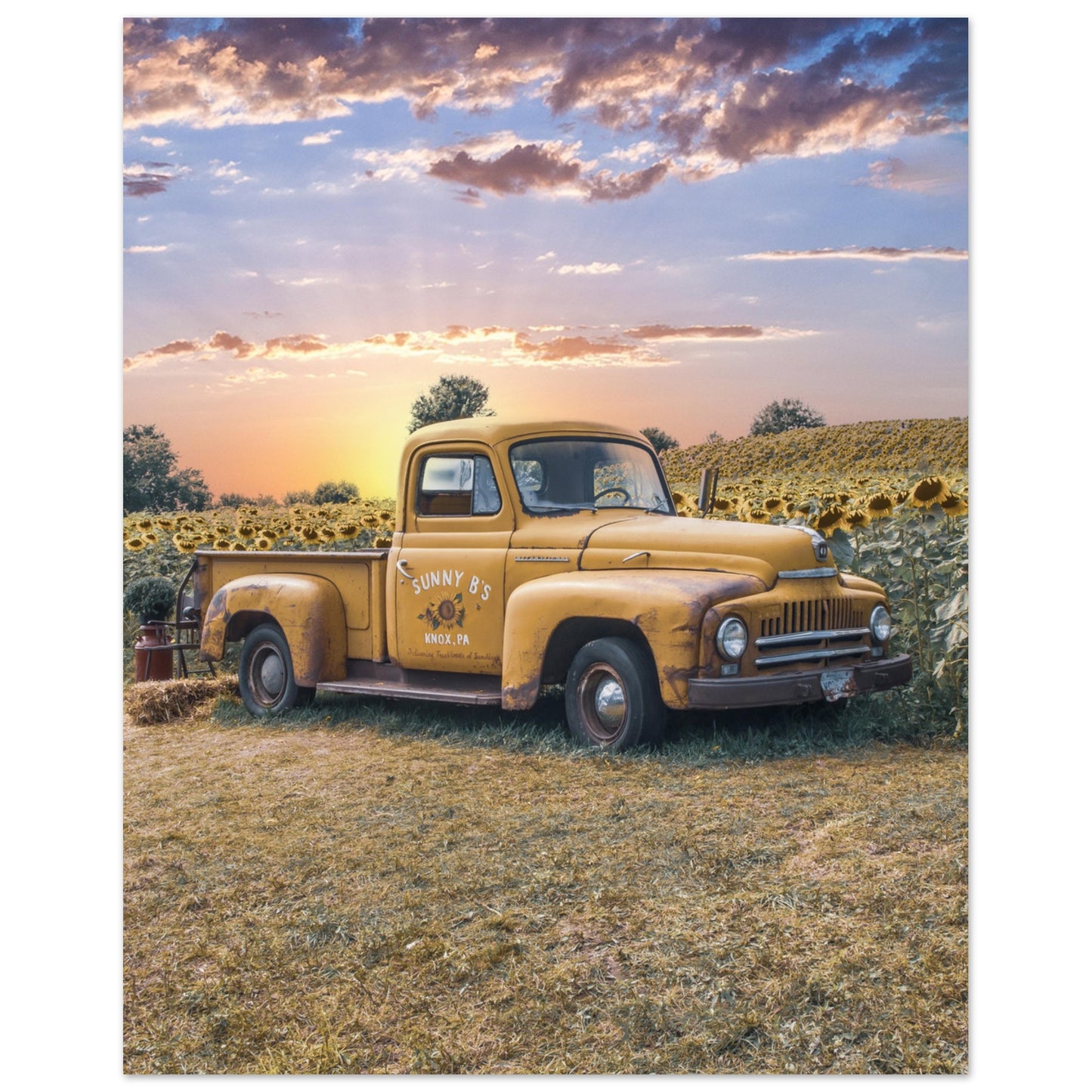 Aluminum Print Sunfower Truck