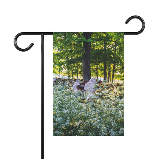 Garden & House Banner