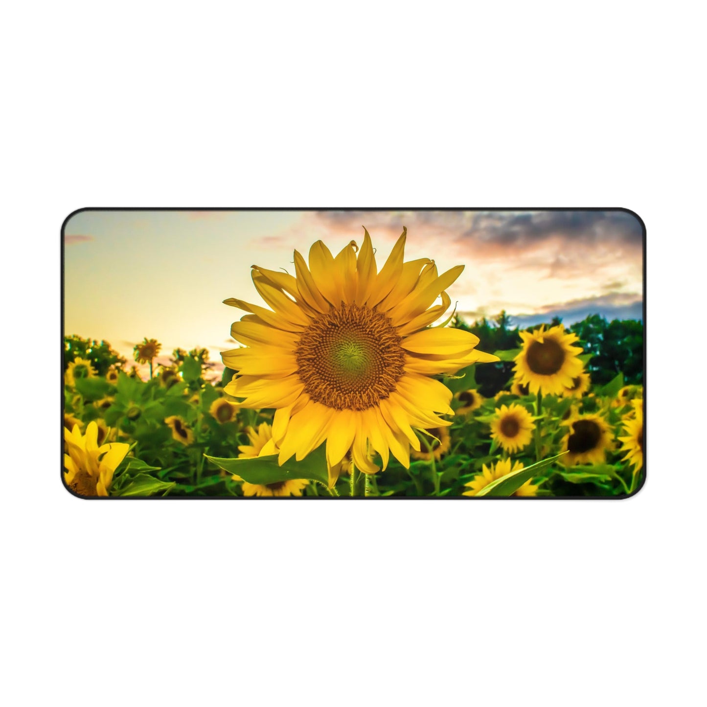 Desk Mat