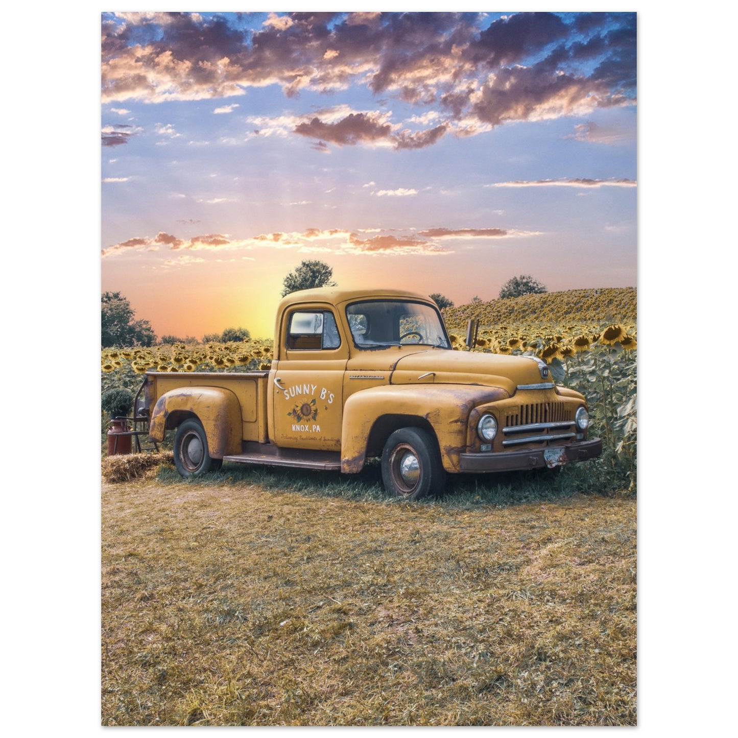 Aluminum Print Sunfower Truck