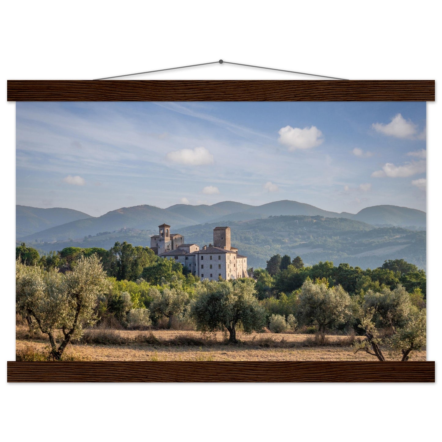 Premium Matte Paper Poster with Hanger