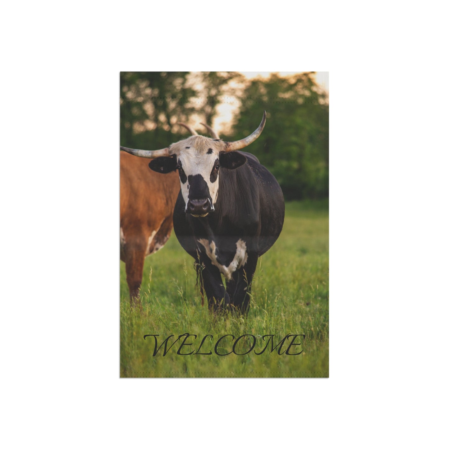 Garden & House Banner