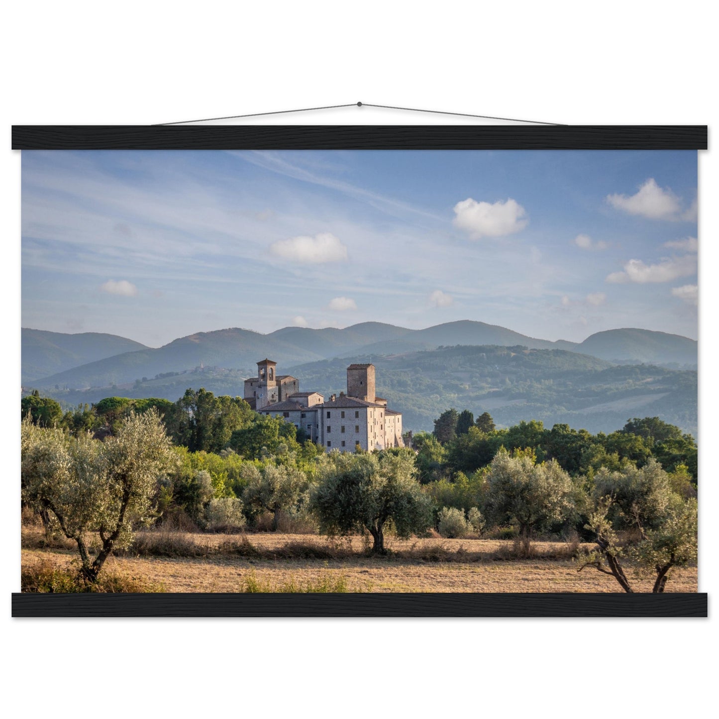 Premium Matte Paper Poster with Hanger