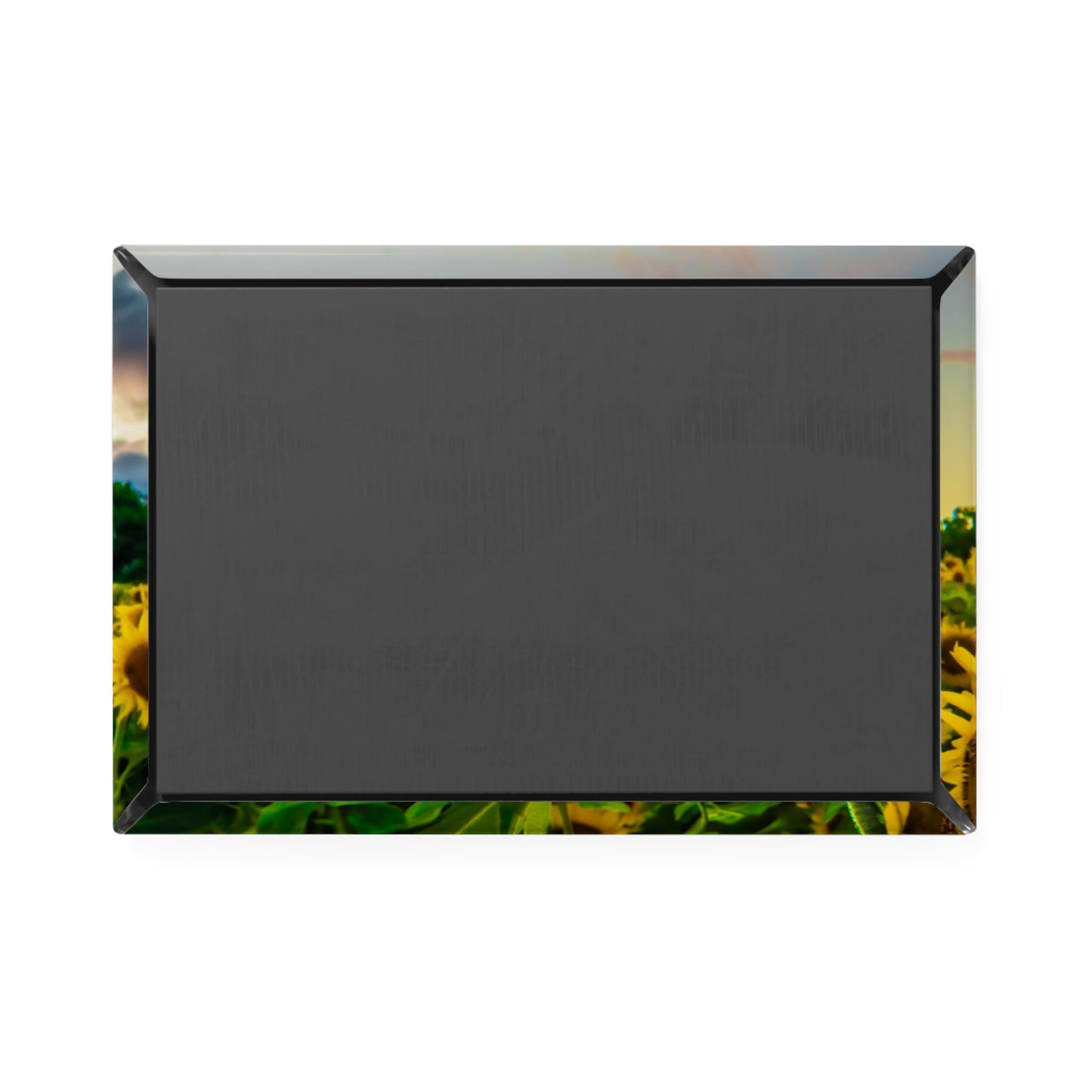 Button Magnet, Rectangle (1 & 10 pcs)