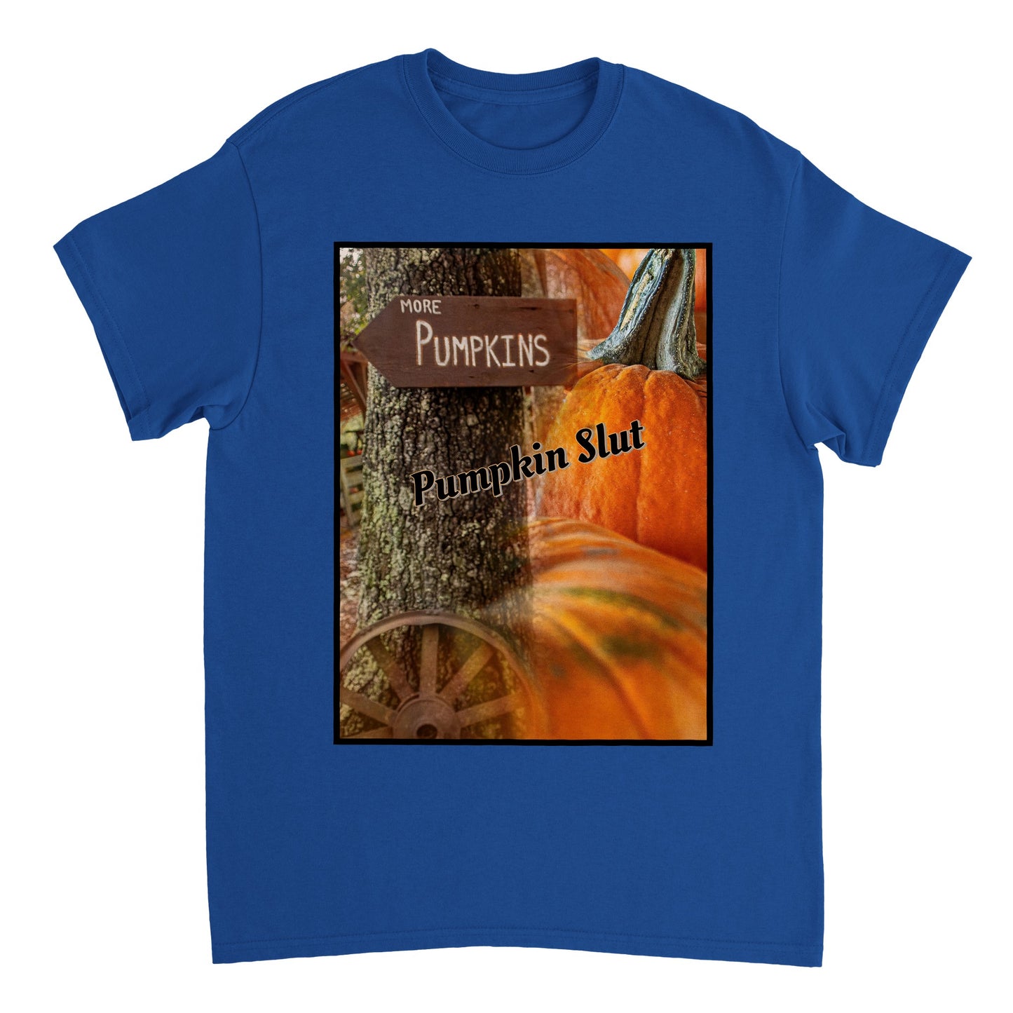 Heavyweight Unisex Crewneck T-shirt