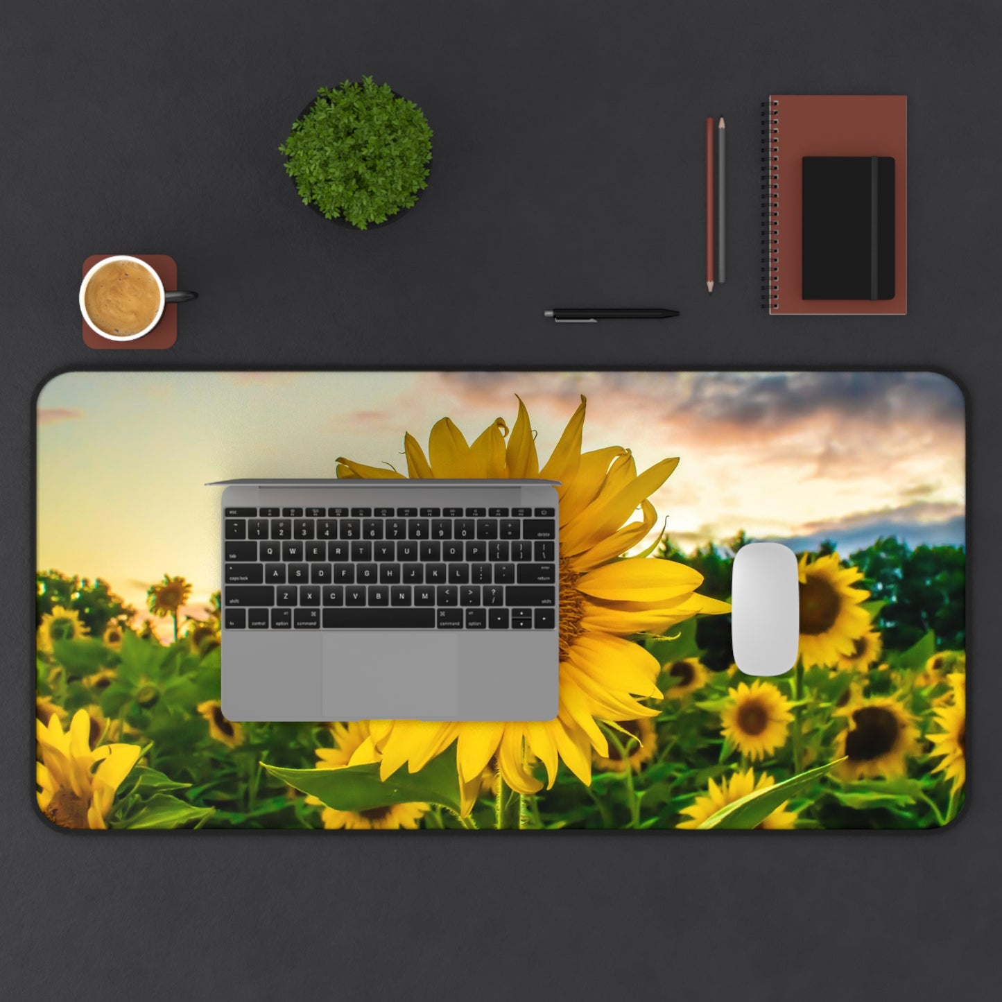 Desk Mat