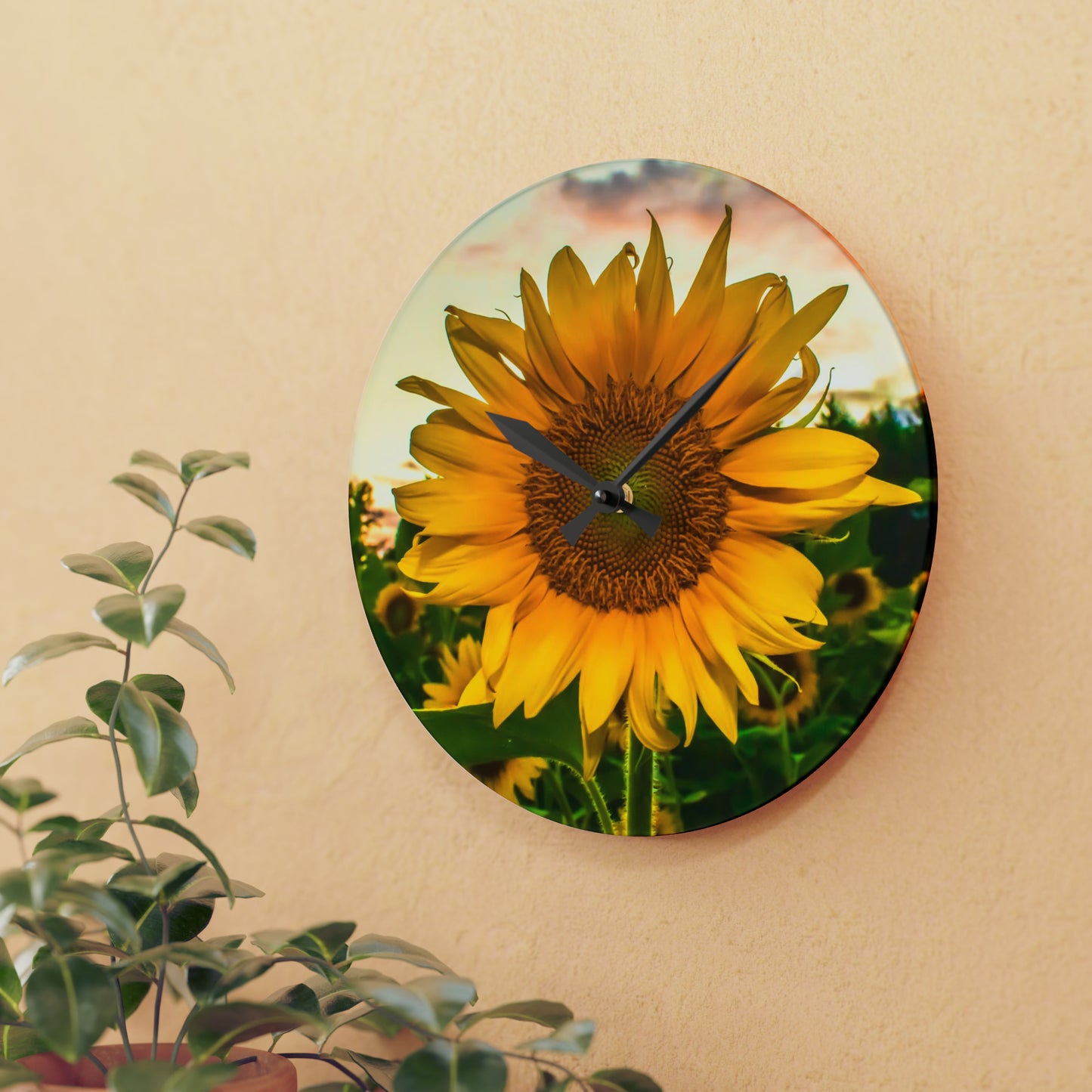 Sunflower Acrylic Wall Clock