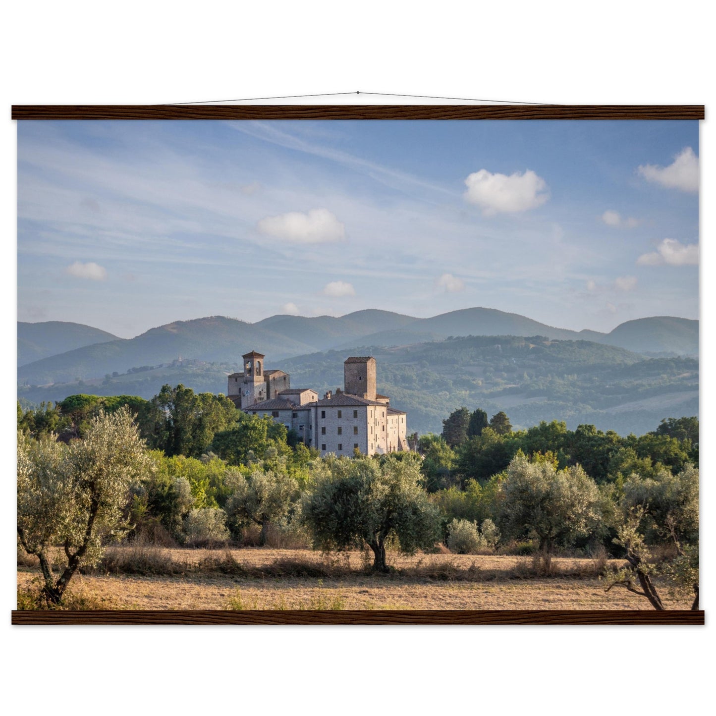 Premium Matte Paper Poster with Hanger