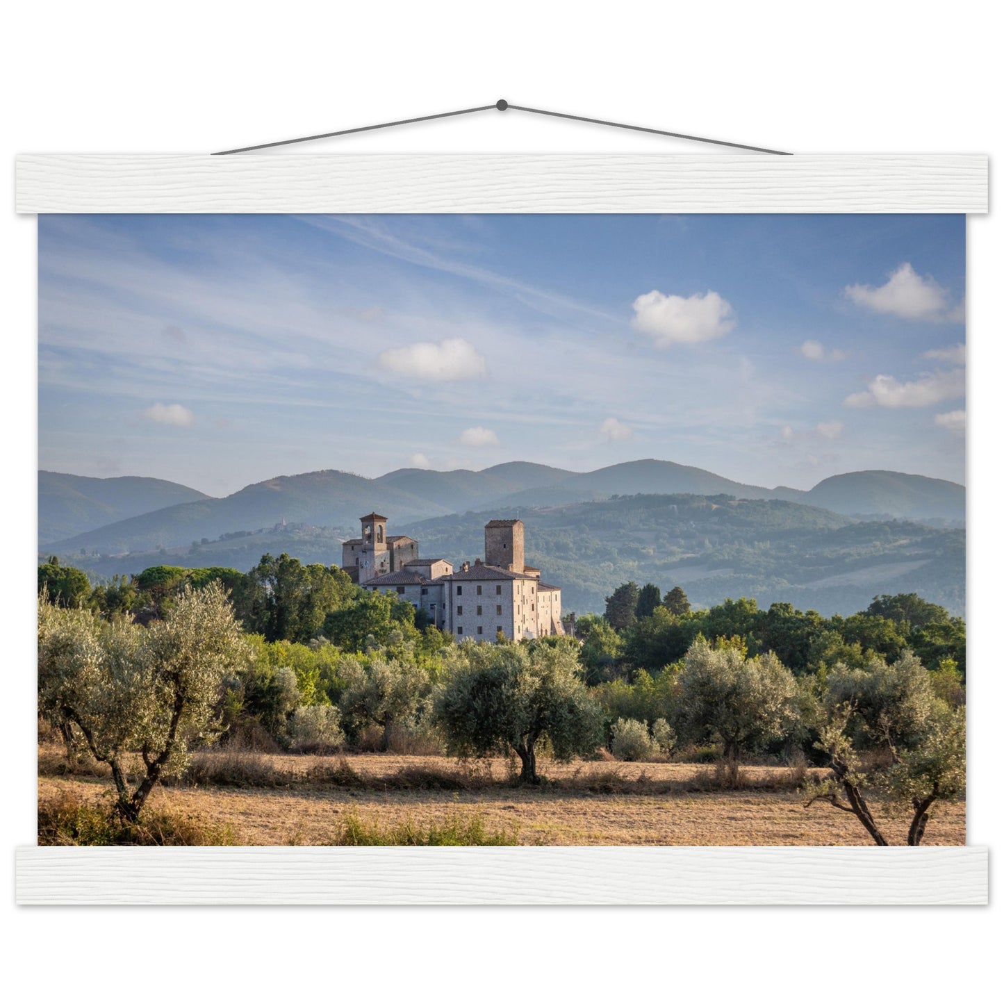 Premium Matte Paper Poster with Hanger