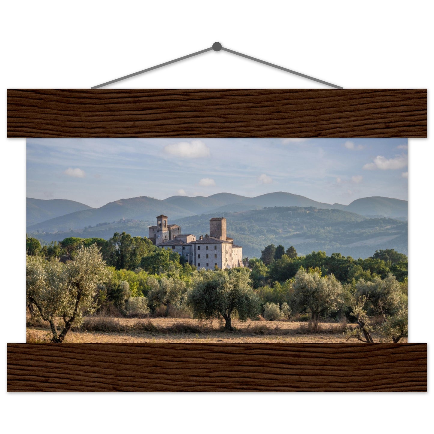 Premium Matte Paper Poster with Hanger