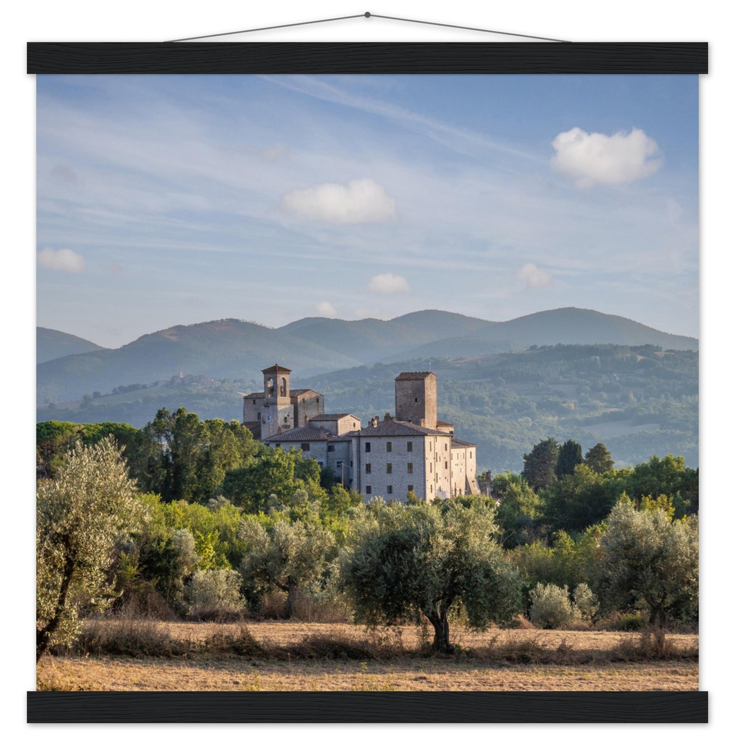 Premium Matte Paper Poster with Hanger