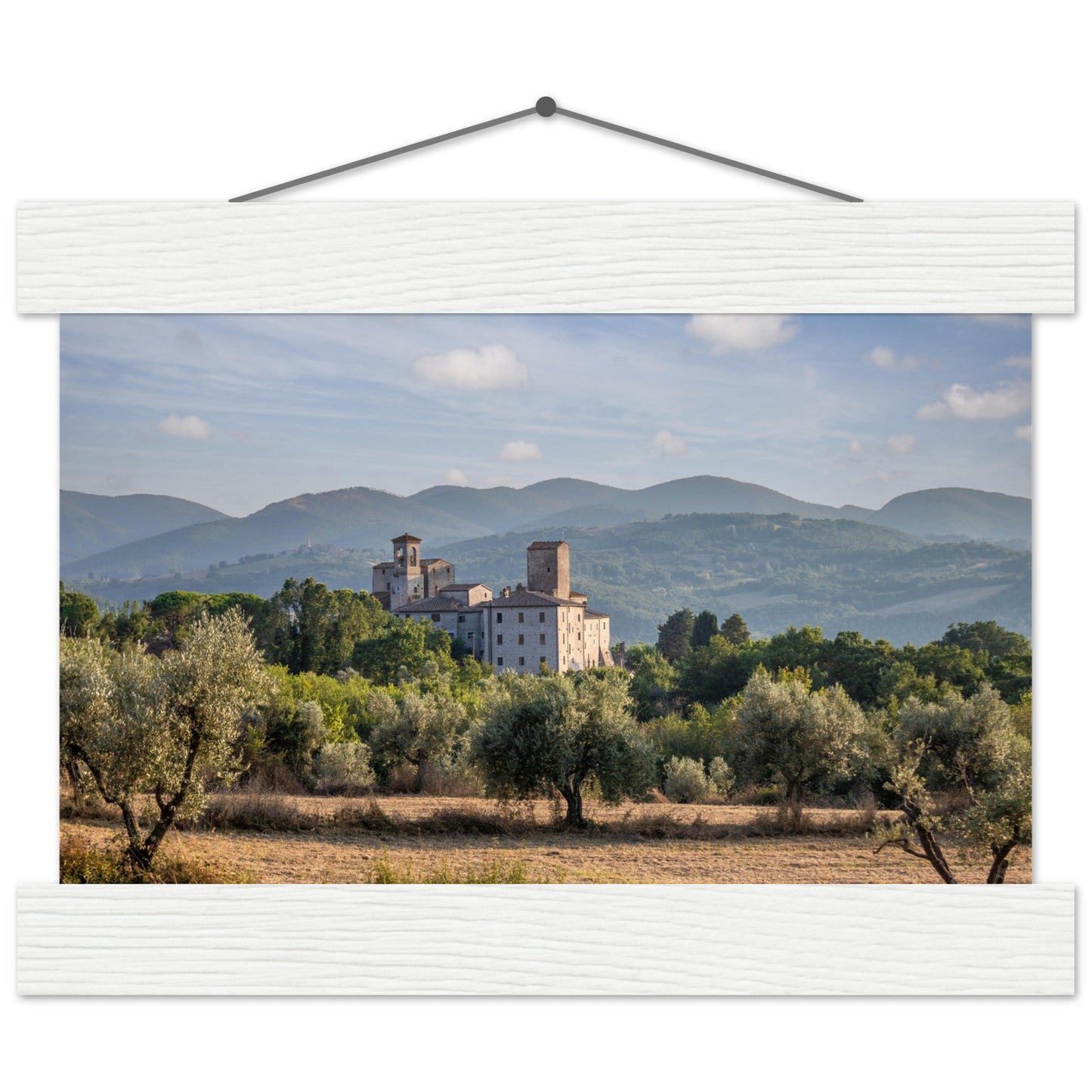 Premium Matte Paper Poster with Hanger