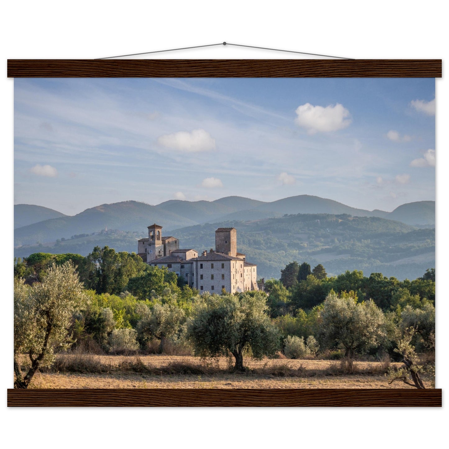 Premium Matte Paper Poster with Hanger