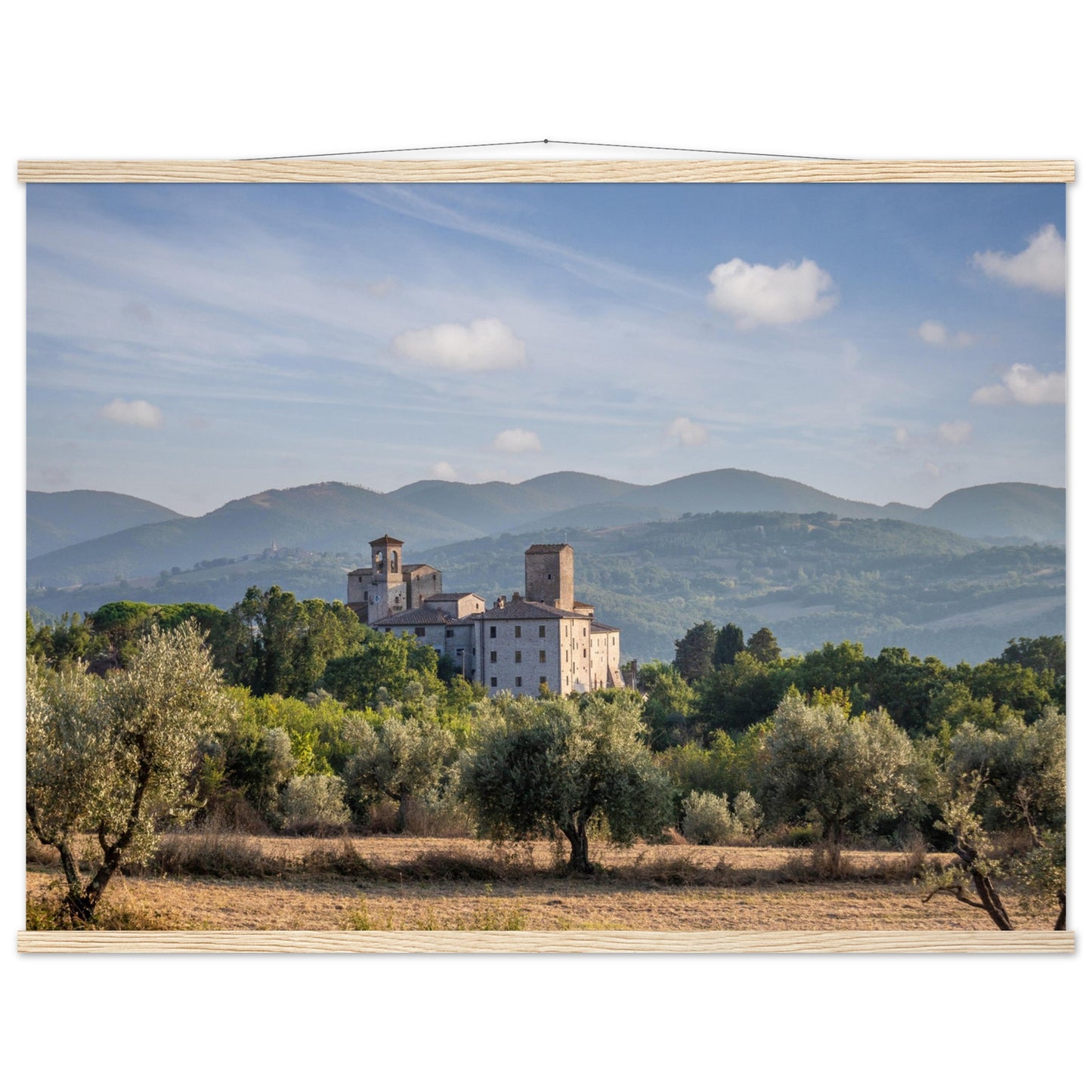 Premium Matte Paper Poster with Hanger