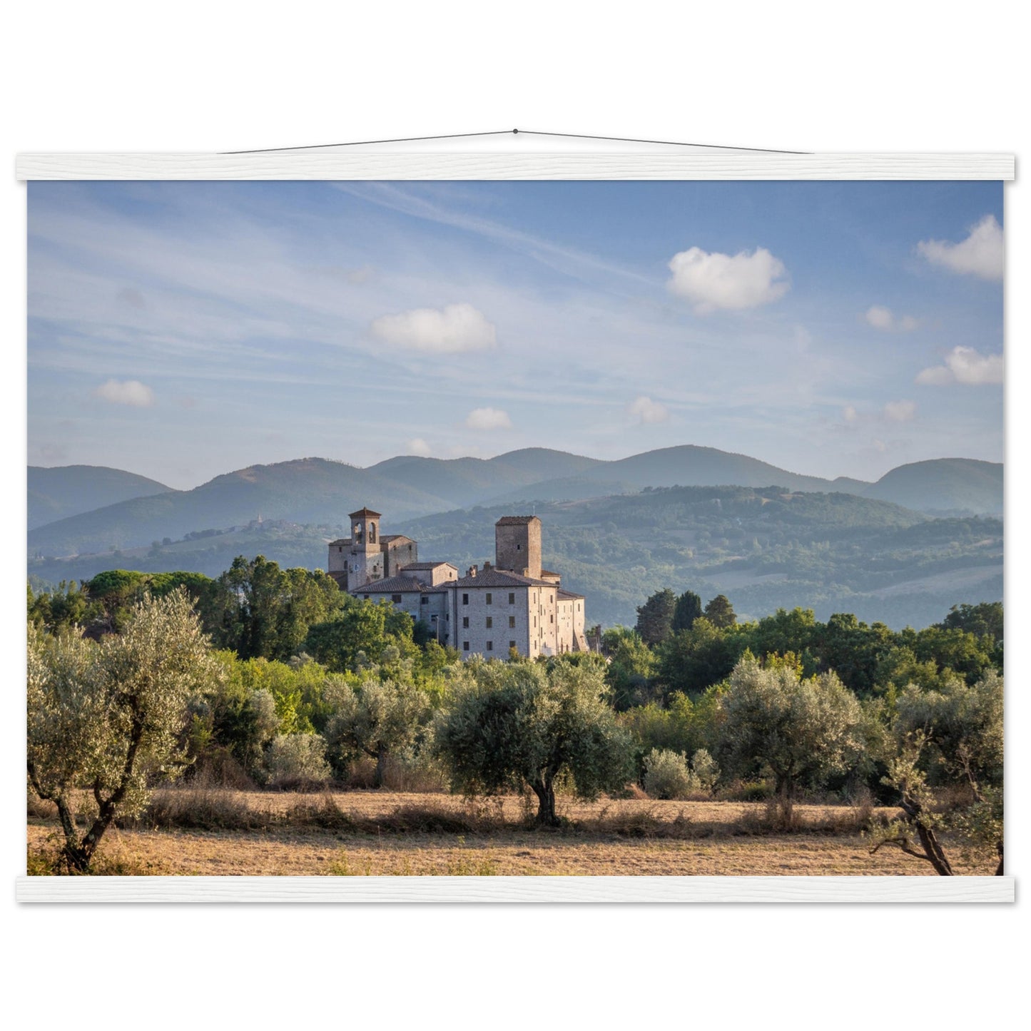 Premium Matte Paper Poster with Hanger