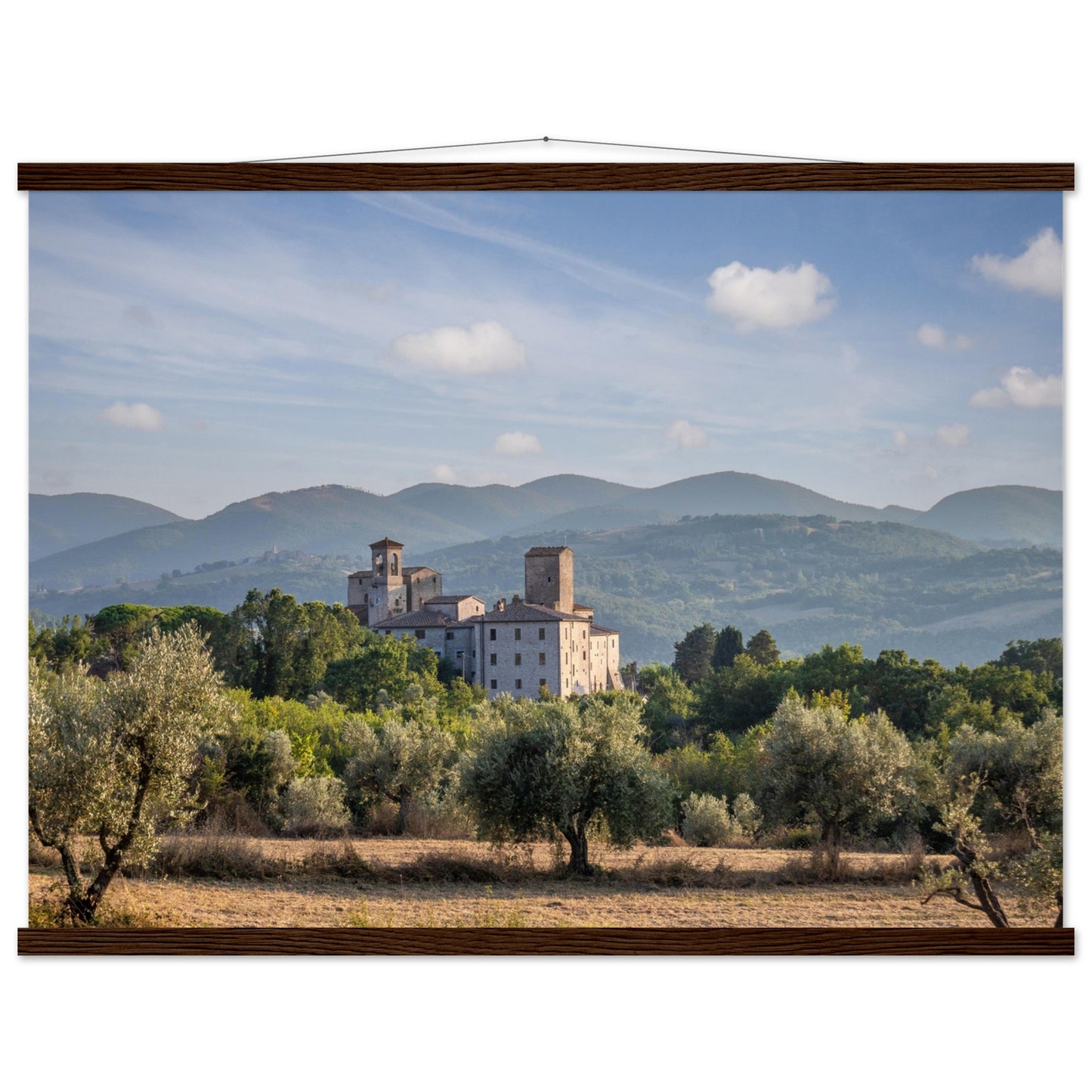 Premium Matte Paper Poster with Hanger