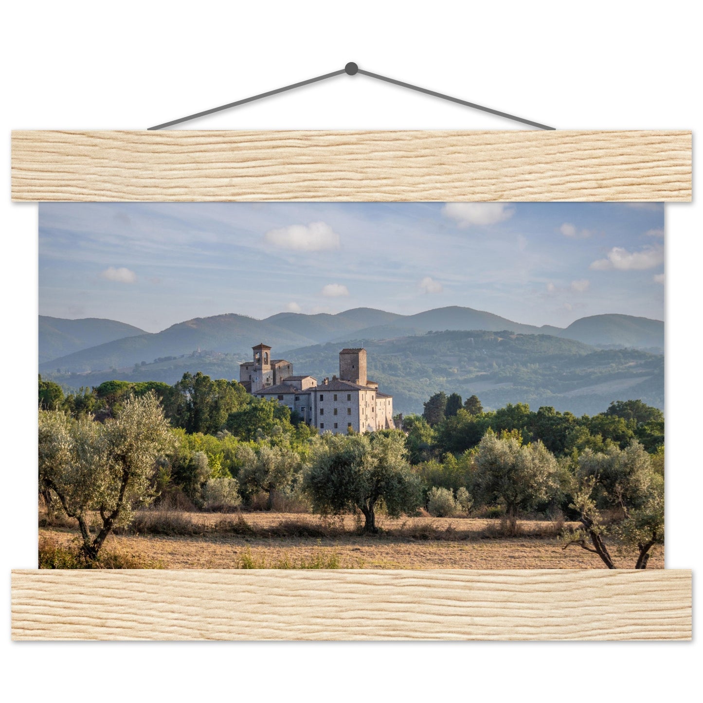 Premium Matte Paper Poster with Hanger