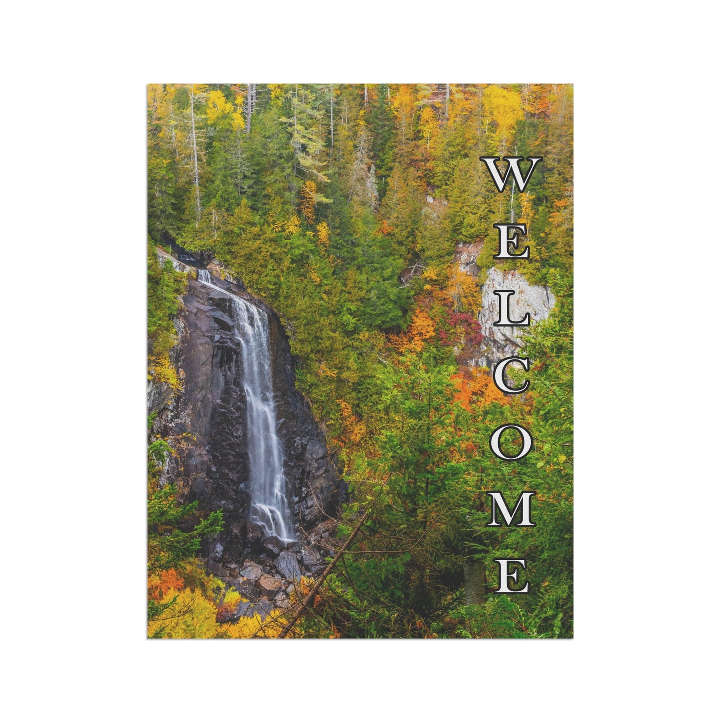 Garden & House Banner