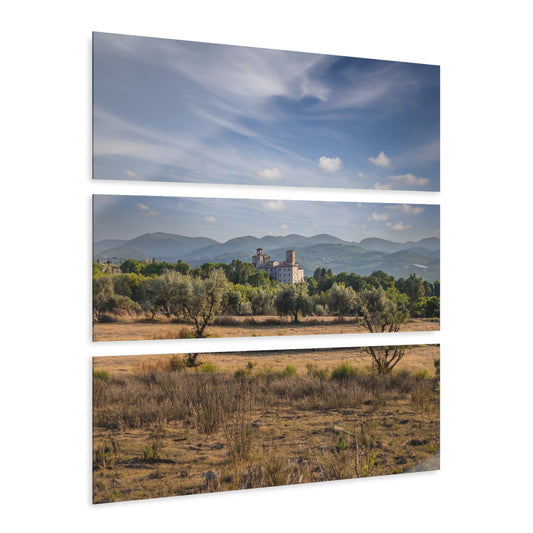 Acrylic Prints (Triptych)