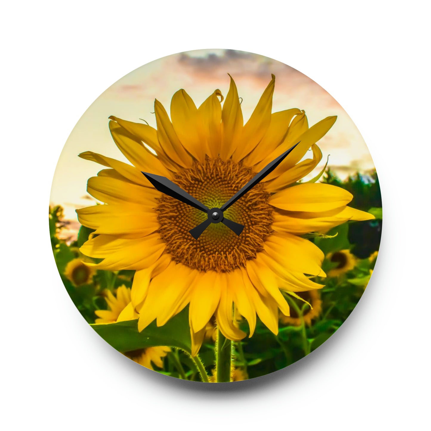 Sunflower Acrylic Wall Clock